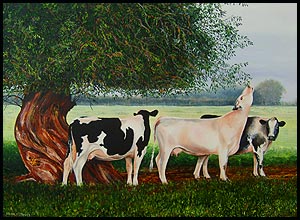 Brian Jones - Landscape and Still Life Artist based in Mid Wales