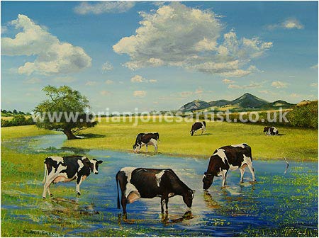 Gallery of paintings by Brian jones, Landscapes and Still Life