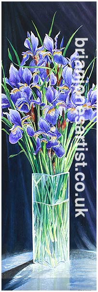 Gallery of paintings by Brian jones, Landscapes and Still Life