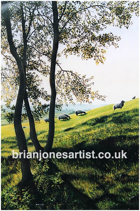 Gallery of paintings by Brian jones, Landscapes and Still Life