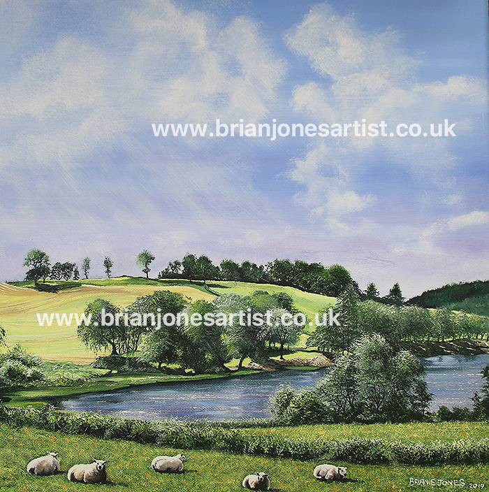 Gallery of paintings by Brian jones, Landscapes and Still Life